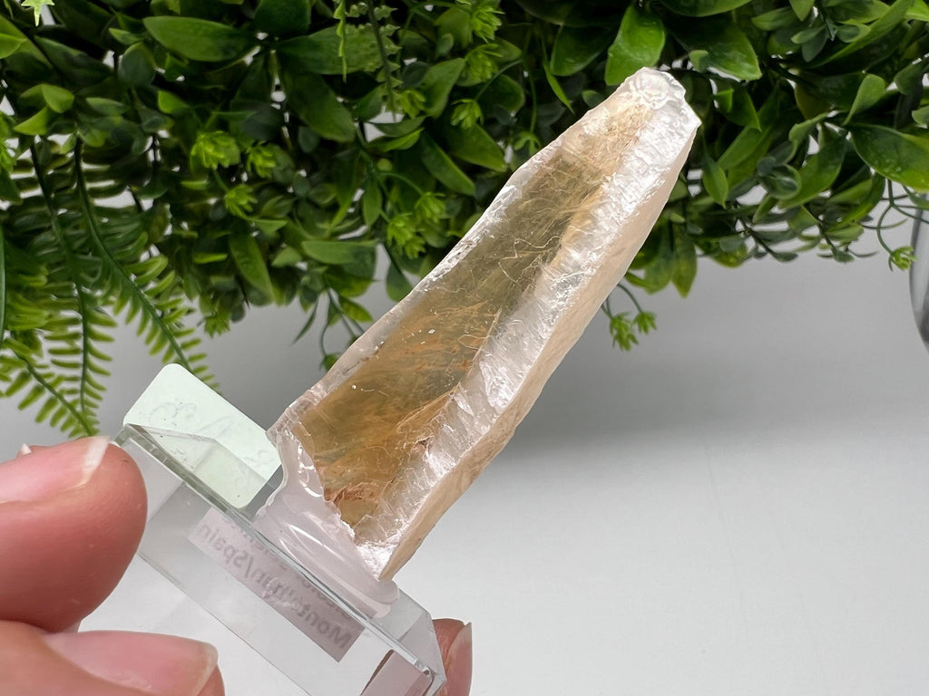Golden Phantom Selenite Slab: Utah Raw Fishtail Selenite Wand