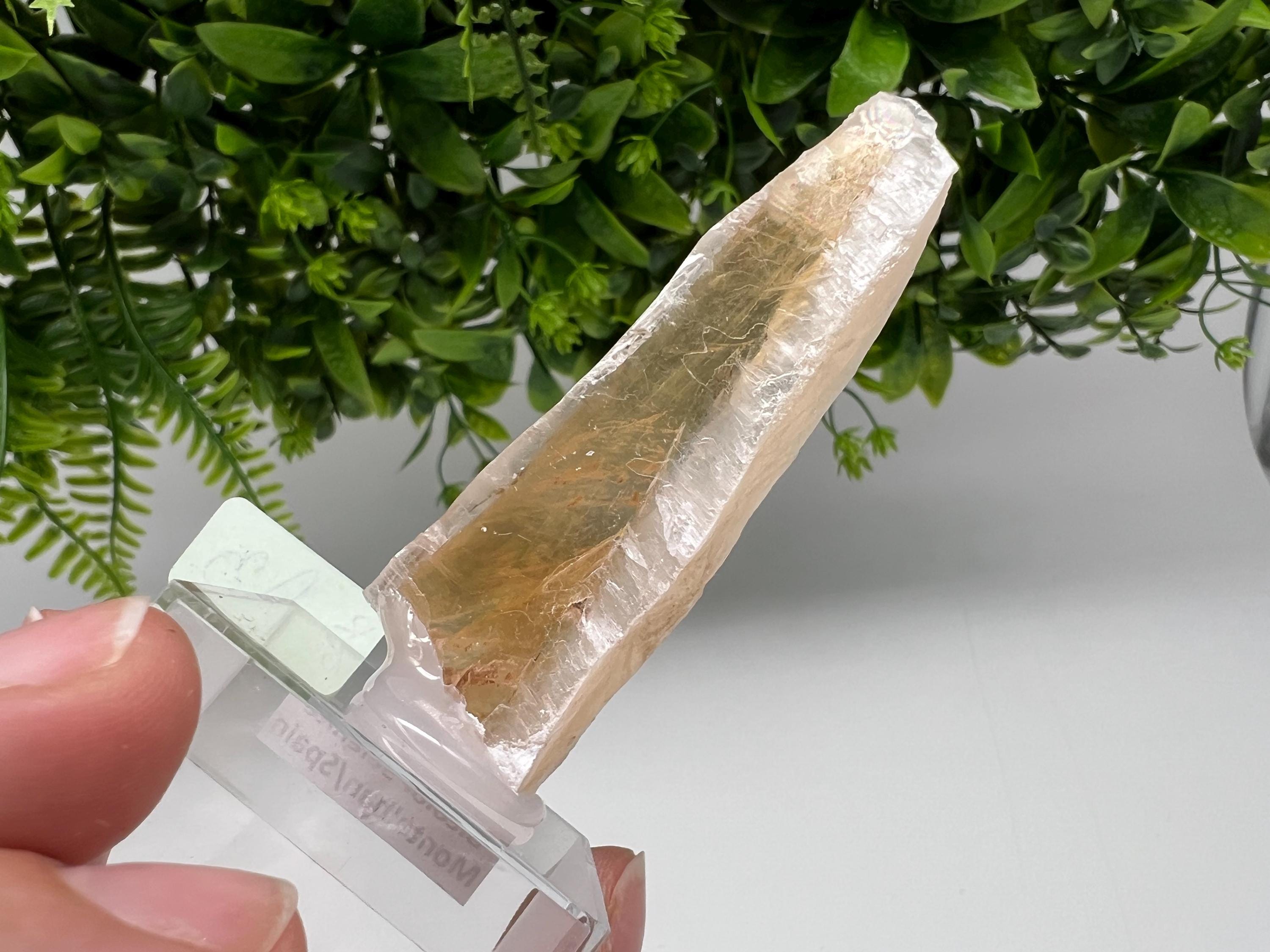 Golden Phantom Selenite Slab: Utah Raw Fishtail Selenite Wand