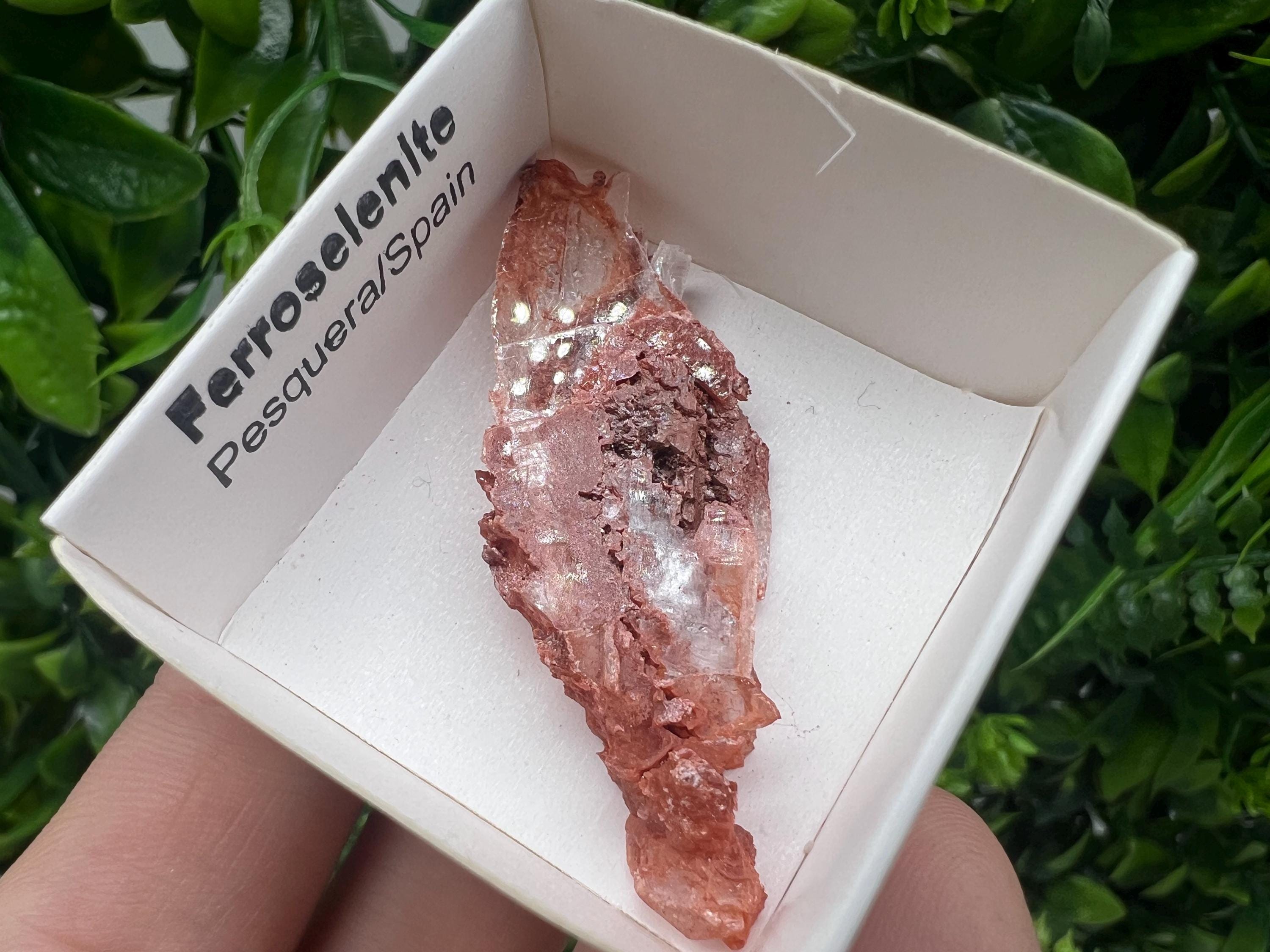 Rare Ferroselenite Specimen: La Pesquera, Spain Mineral (5/2 cm)
