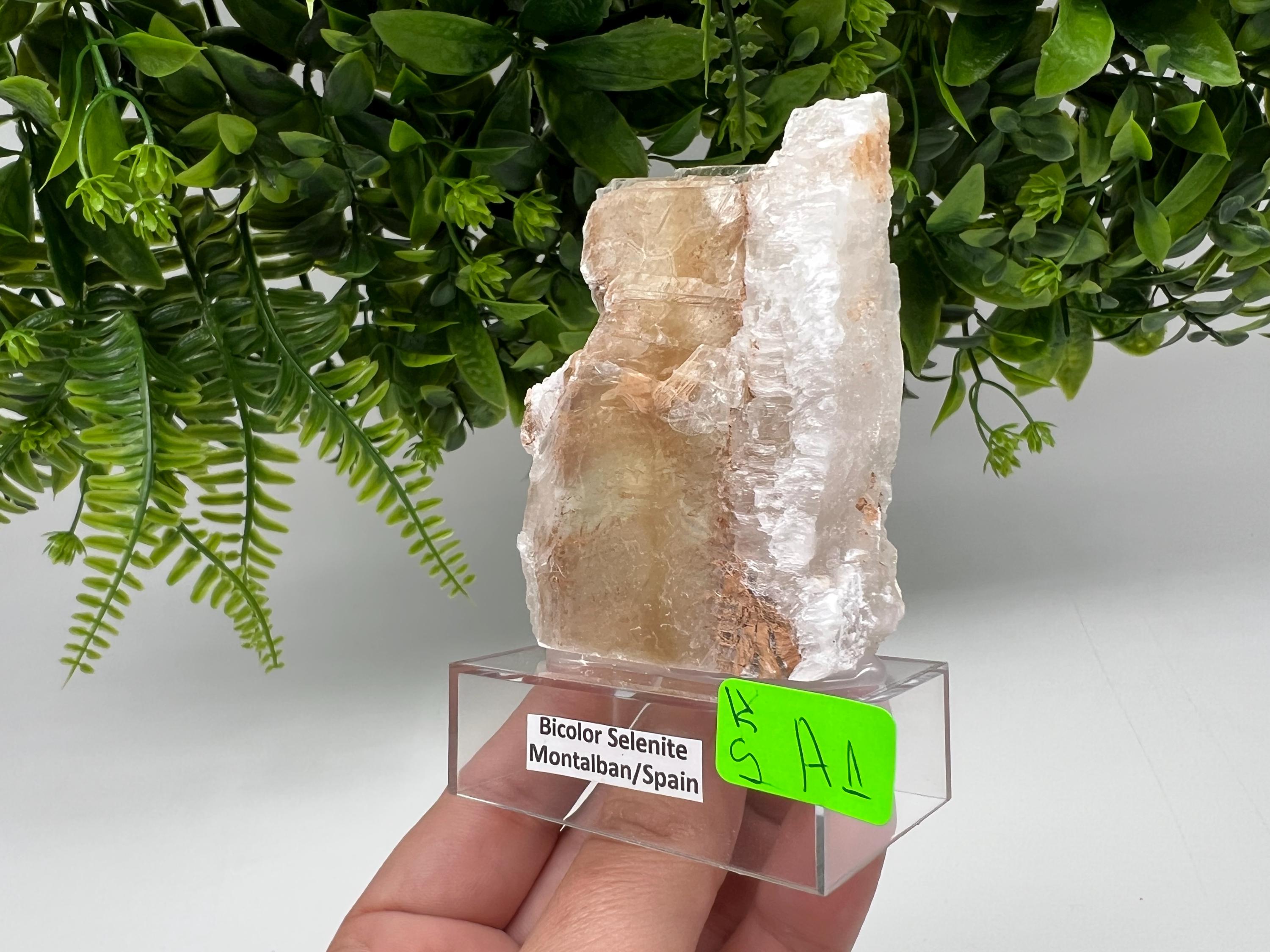 Golden Phantom Selenite Slab: Utah Raw Crystal Wand (5.5/8cm)