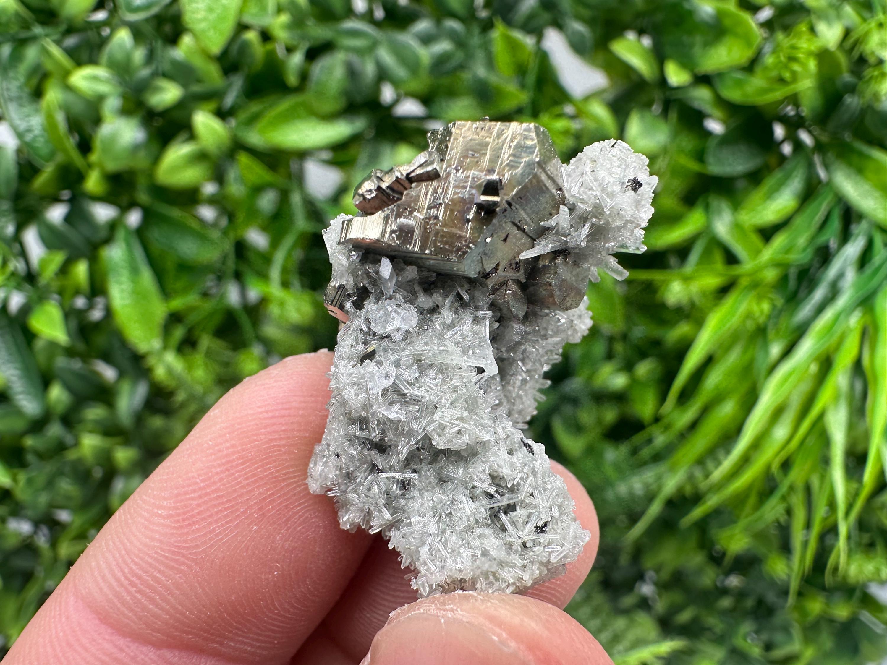 Pyrite on Green Quartz Mineral Specimen from Borieva Mine, Bulgaria