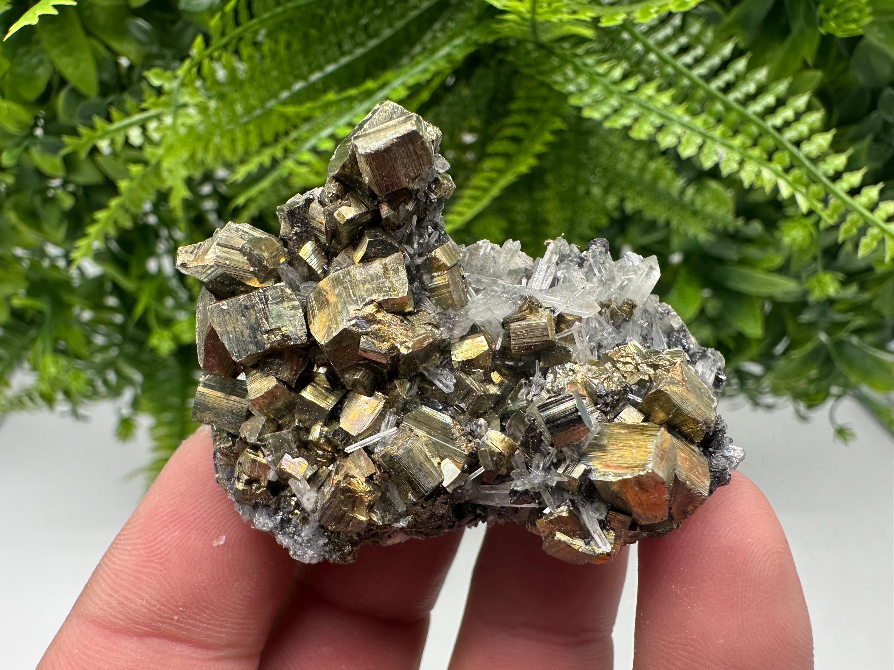 Rainbow Pyrite & Sphalerite on Quartz: Natural Crystal Decor