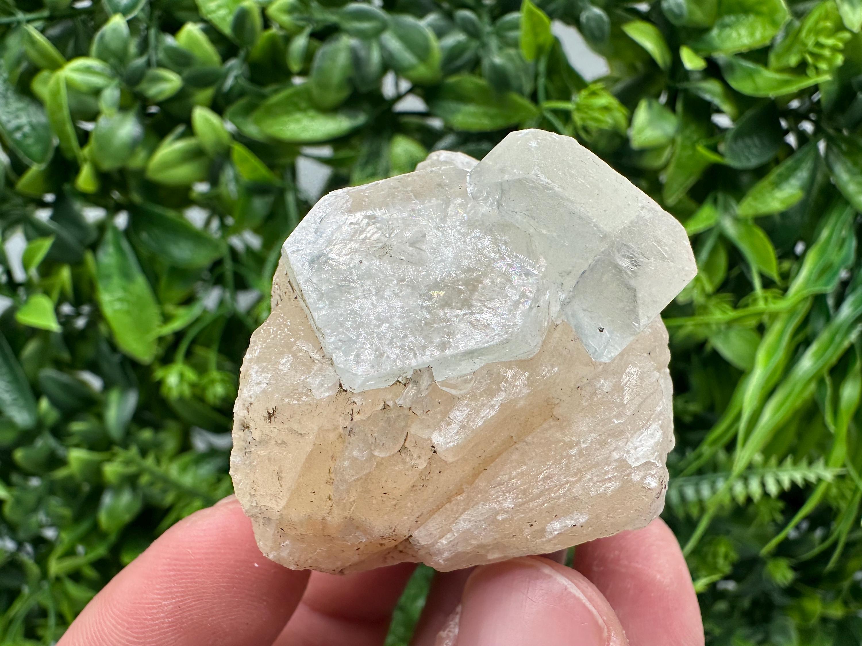 Apophyllite Stilbite on Chalcedony, India Mineral Specimen