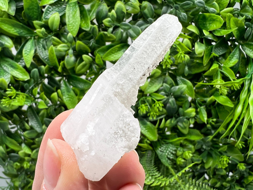 Transparent Quartz with Pyrite, Krushev Dol Mine Crystal, Bulgaria