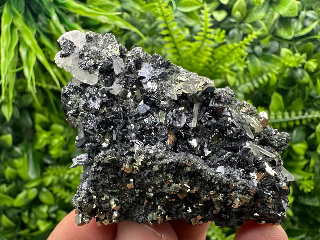 Sphalerite on Quartz with Pyrite, Borieva Mine Mineral Specimen