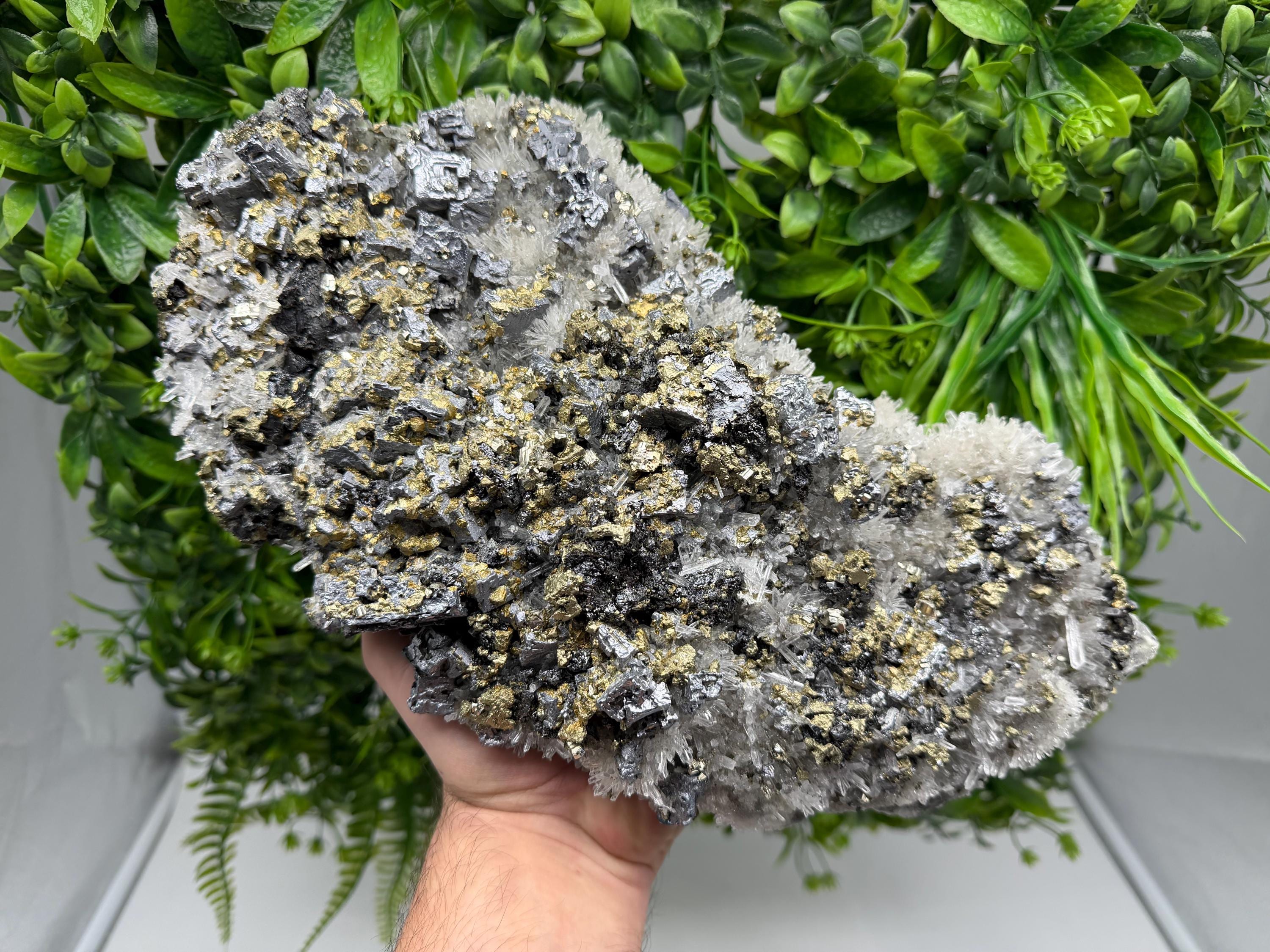 Museum Rare Shiny Galena Cluster whit Chalcopyrite,Pyrite, 9th of September Mine