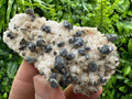 Galena with Chalcopyrite on Mangano Calcite: Natural Mineral Crystal Decor