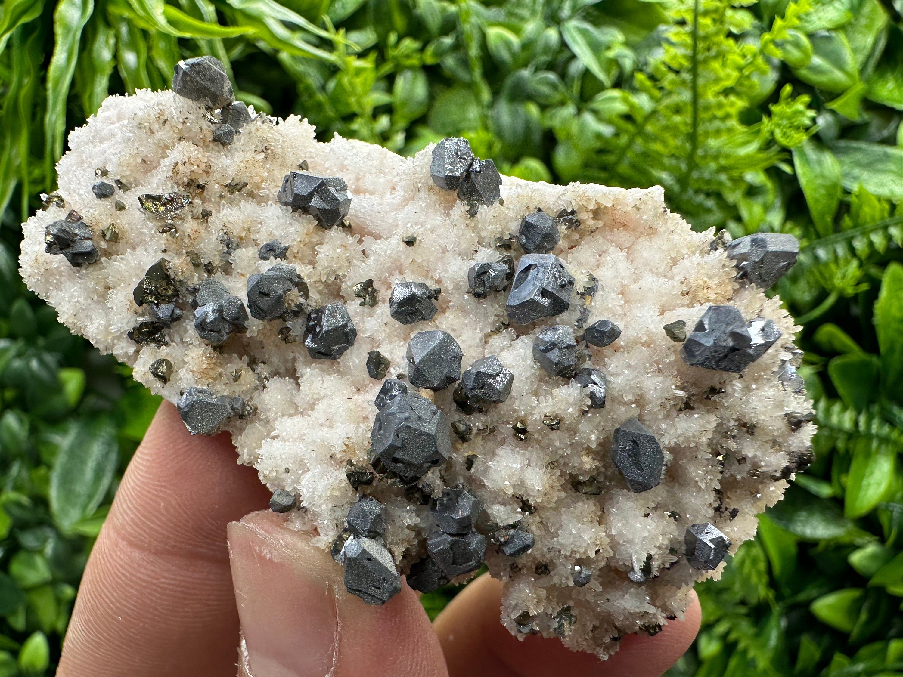 Galena with Chalcopyrite on Mangano Calcite: Natural Mineral Crystal Decor