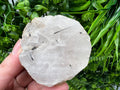 Polished Quartz Slab with Black Tourmaline Inclusions