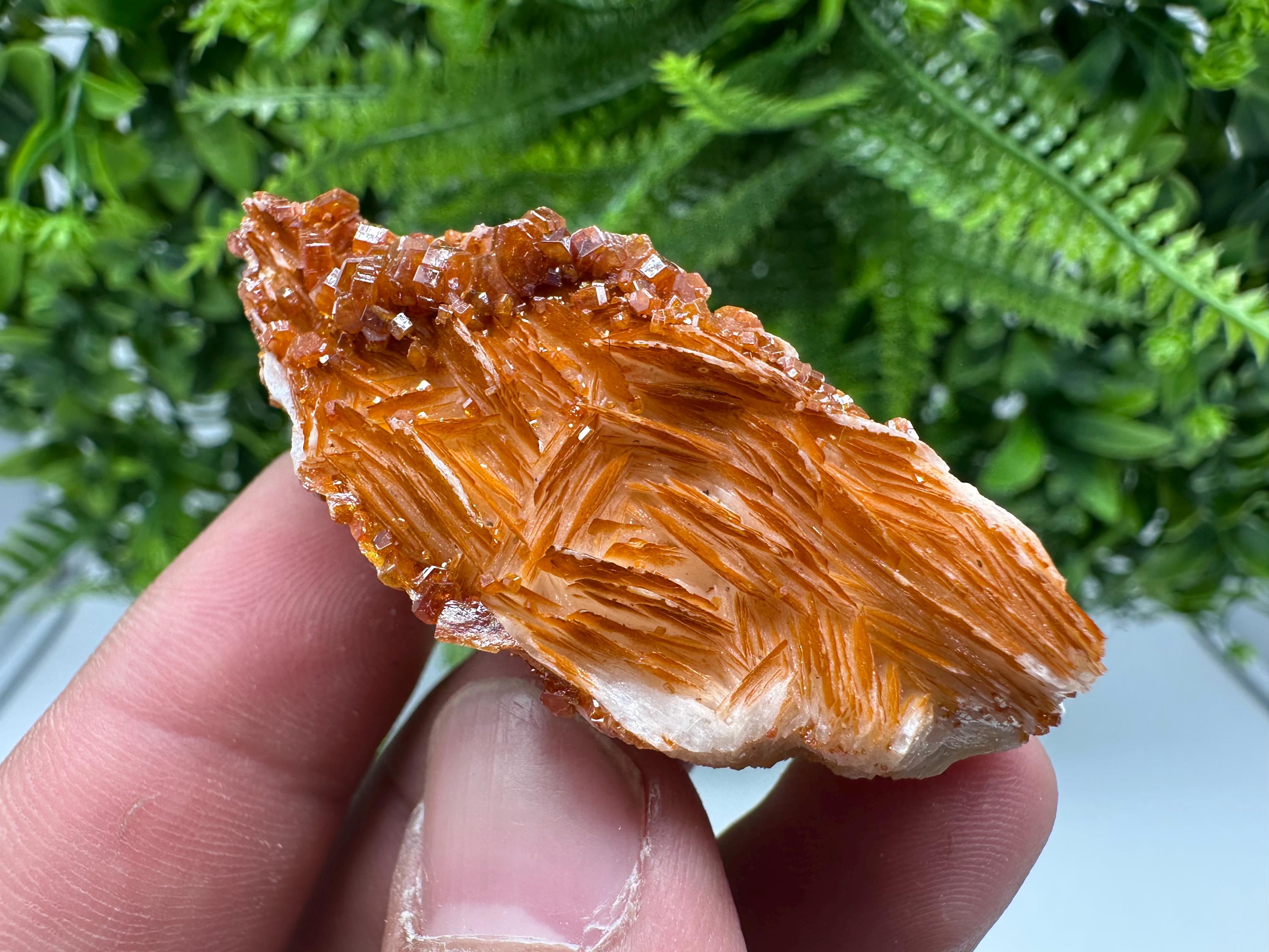 Red Vanadinite on Barite, Morocco Crystal Cluster