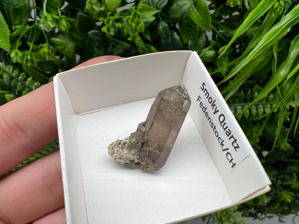 Rare Fedenstock Smoky Quartz, Swiss Mineral Specimen