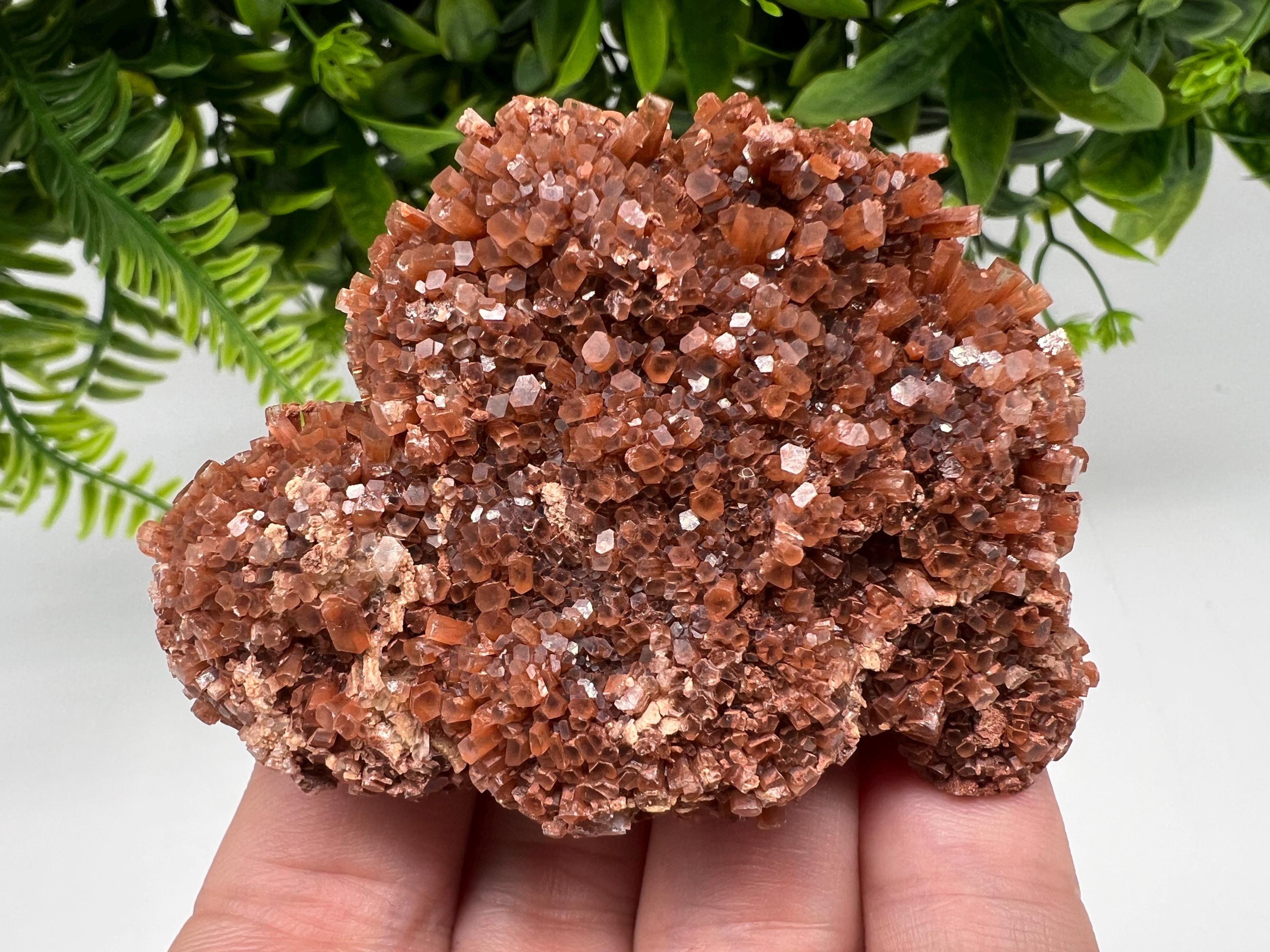 Large Aragonite Sputnik Cluster: Raw Moroccan Crystal Stone, Home Decor