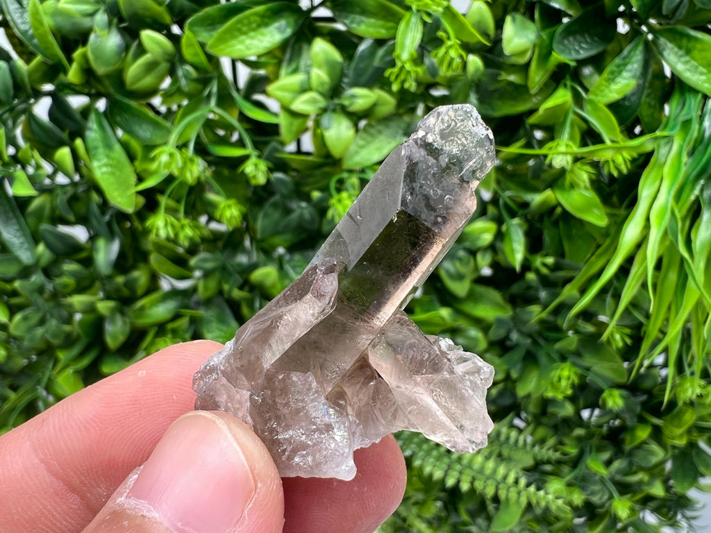 Rare Smoky Quartz Crystal Specimen: Mineral Collection, Brazil