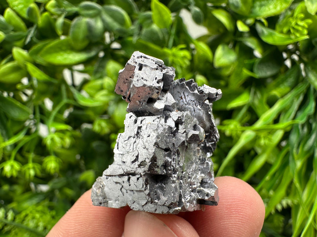 Skeletal Galena on Sphalerite Crystal Mineral Specimen