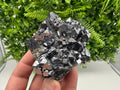 Galena with Quartz Specimen: Krushev Dol Mine, Bulgaria