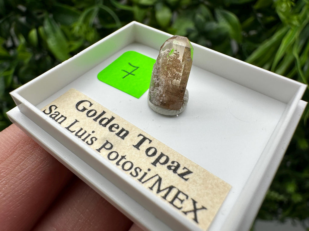 Golden Topaz Crystal, Mineral Specimen from Mexico