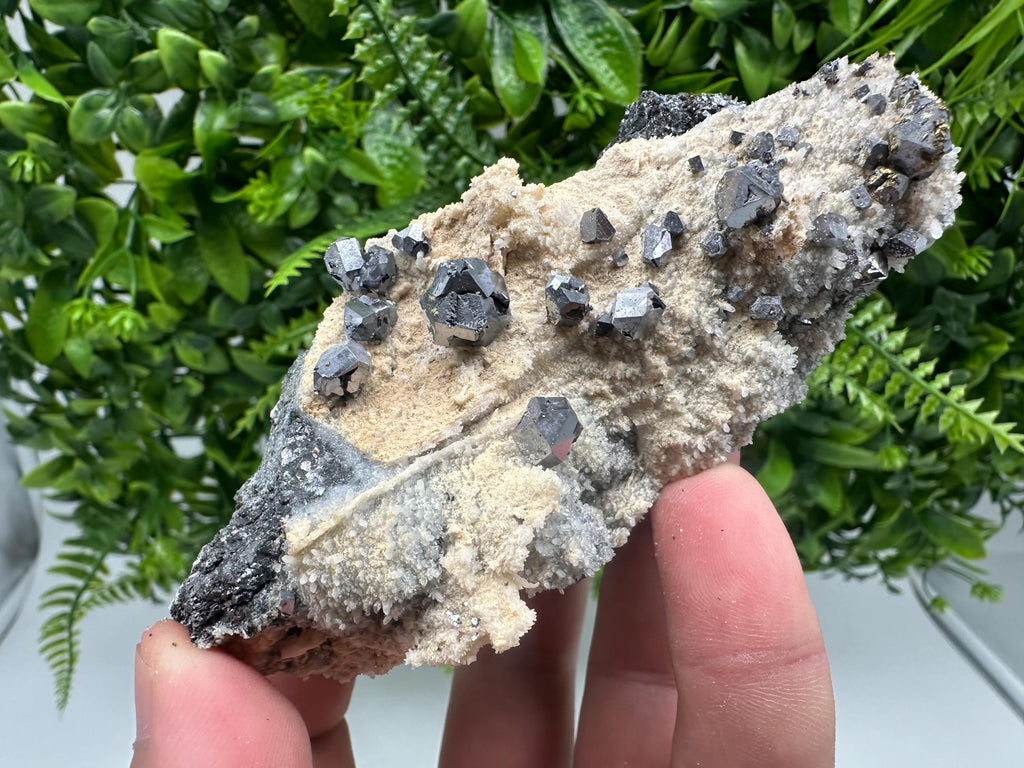 Rare,collection Galena on Chalcedony from Krushev dol mine,Madan,Bulgaria,Natural mineral specimen,geology,crystal,home decor,gift
