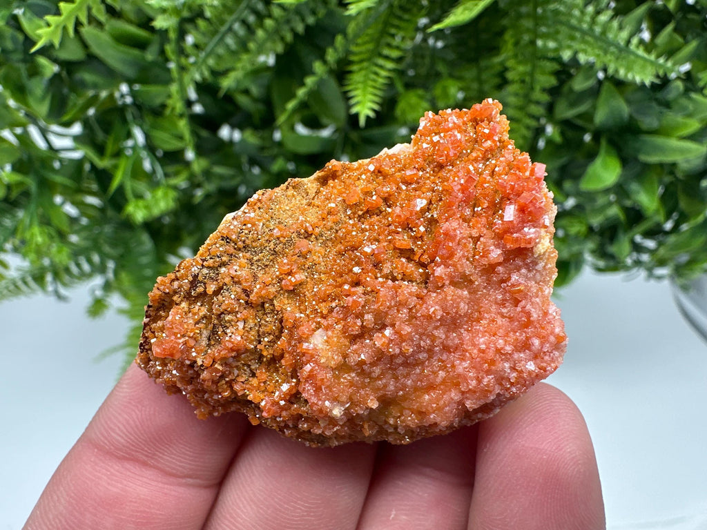Red Vanadinite on Barite from Marocco,crystal minerals Speciment cluster Vanadinite crystal Vanadinite Geology Vanadinite cluster minerals