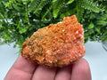 Red Vanadinite on Barite from Marocco,crystal minerals Speciment cluster Vanadinite crystal Vanadinite Geology Vanadinite cluster minerals
