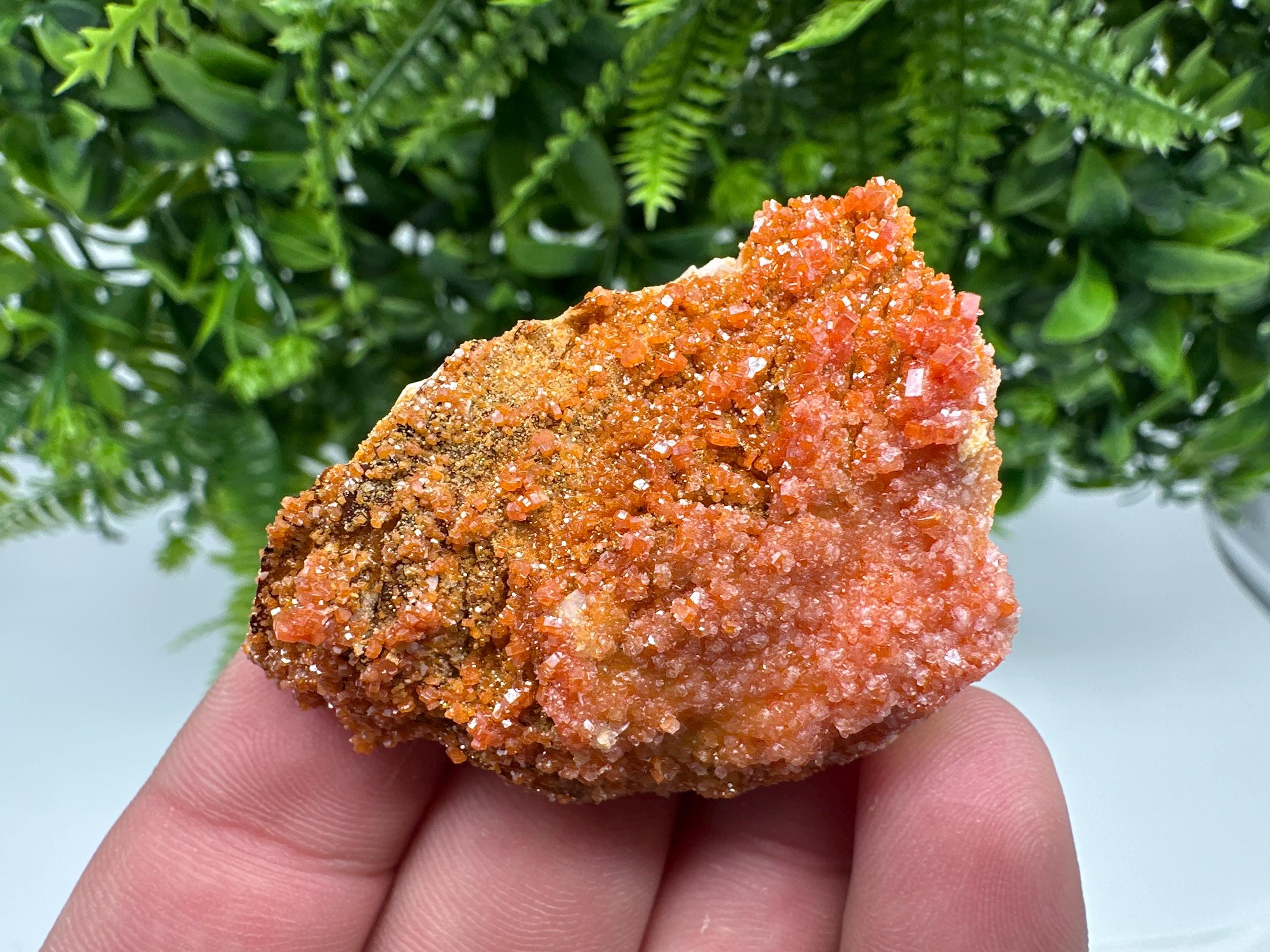 Red Vanadinite on Barite from Marocco,crystal minerals Speciment cluster Vanadinite crystal Vanadinite Geology Vanadinite cluster minerals