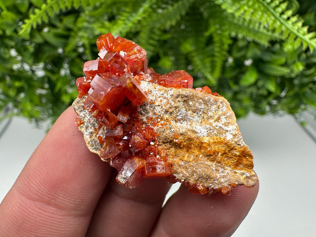 Red Vanadinite on Barite from Marocco,crystal minerals Speciment cluster Vanadinite crystal Vanadinite Geology Vanadinite cluster minerals