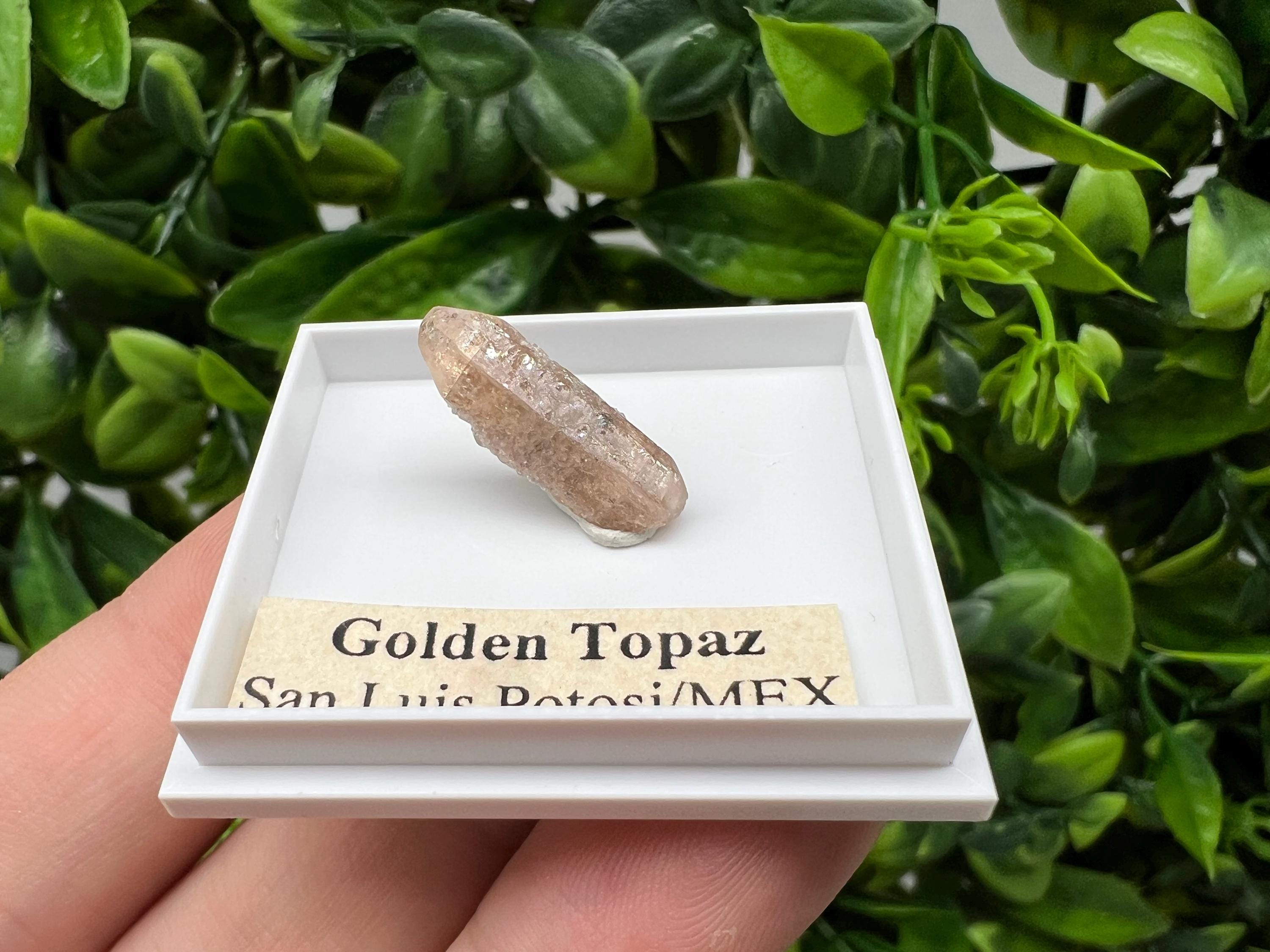 Mexican Golden Topaz Crystal, Mineral Collection Piece, Original