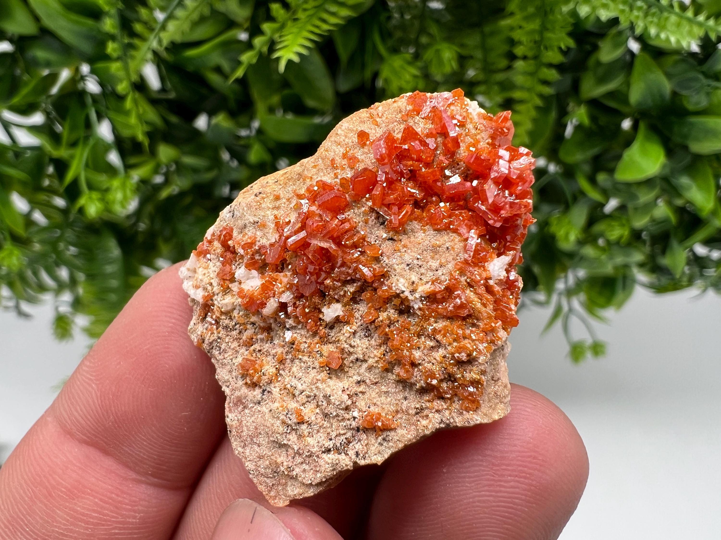 Red Vanadinite on Barite from Marocco,crystal minerals Speciment cluster Vanadinite crystal Vanadinite Geology Vanadinite cluster minerals