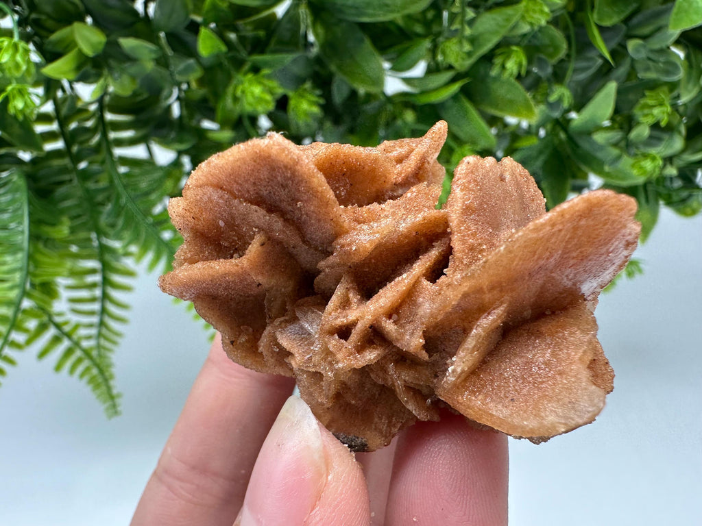 Desert Rose Crystal: Root Chakra Healing Selenite Stone