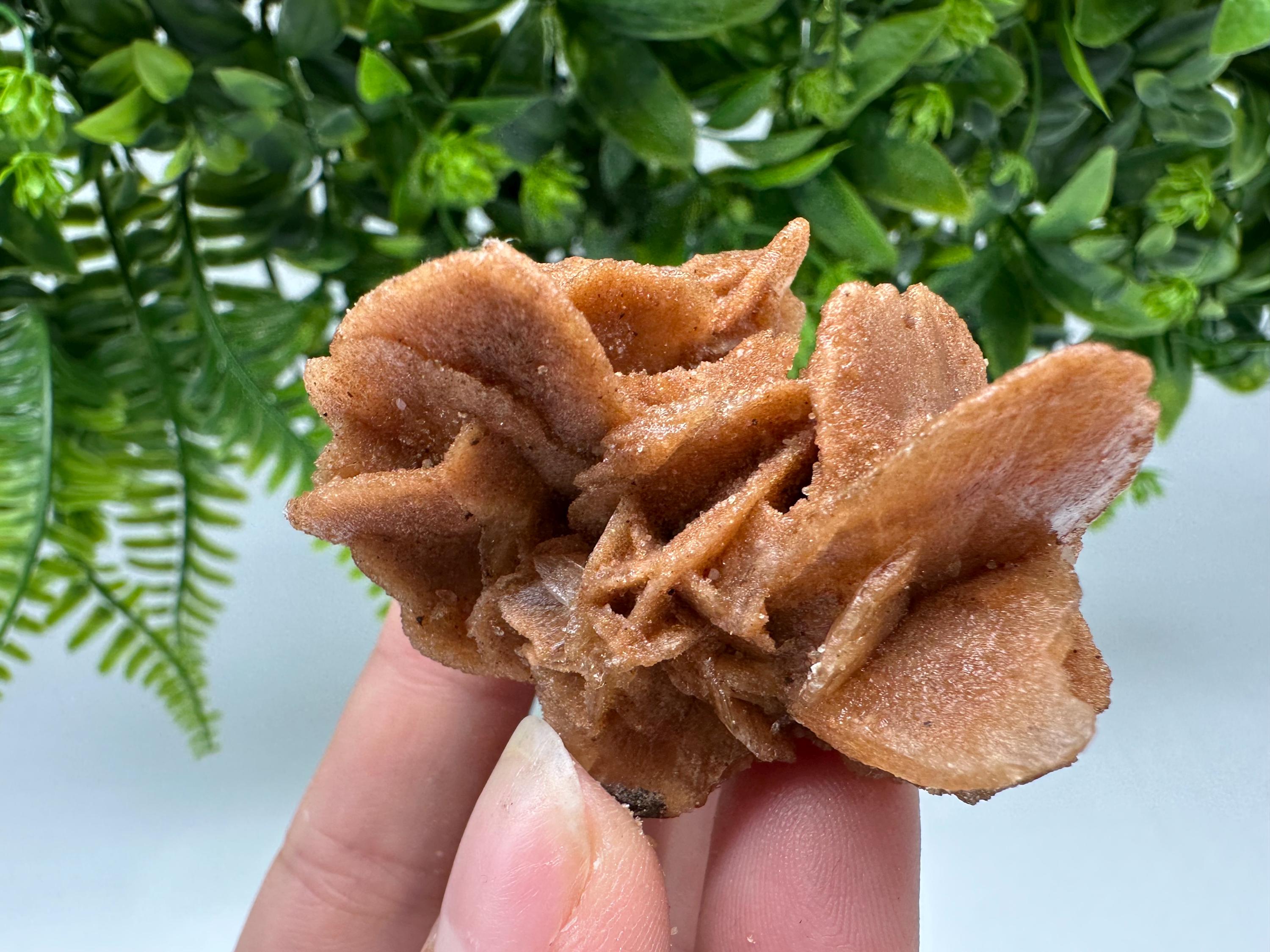 Desert Rose Crystal: Root Chakra Healing Selenite Stone