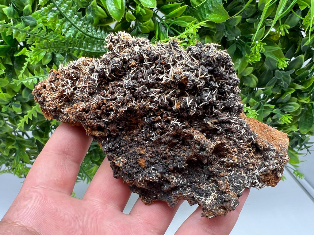 Rare Madjarovo Pyromorphite with Hematite on Quartz, Bulgaria