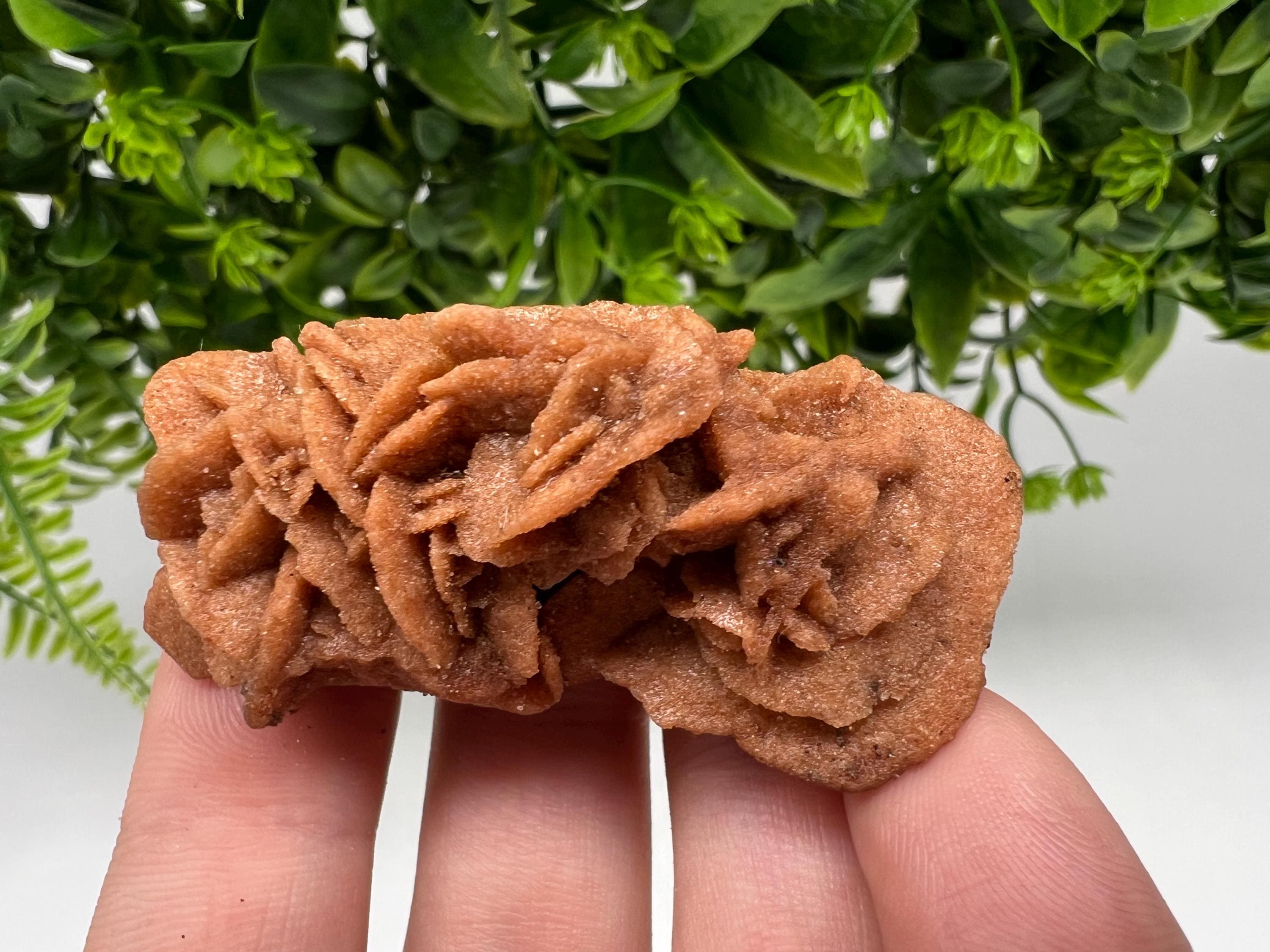 Desert Rose Crystal: Root Chakra Healing Selenite Stone