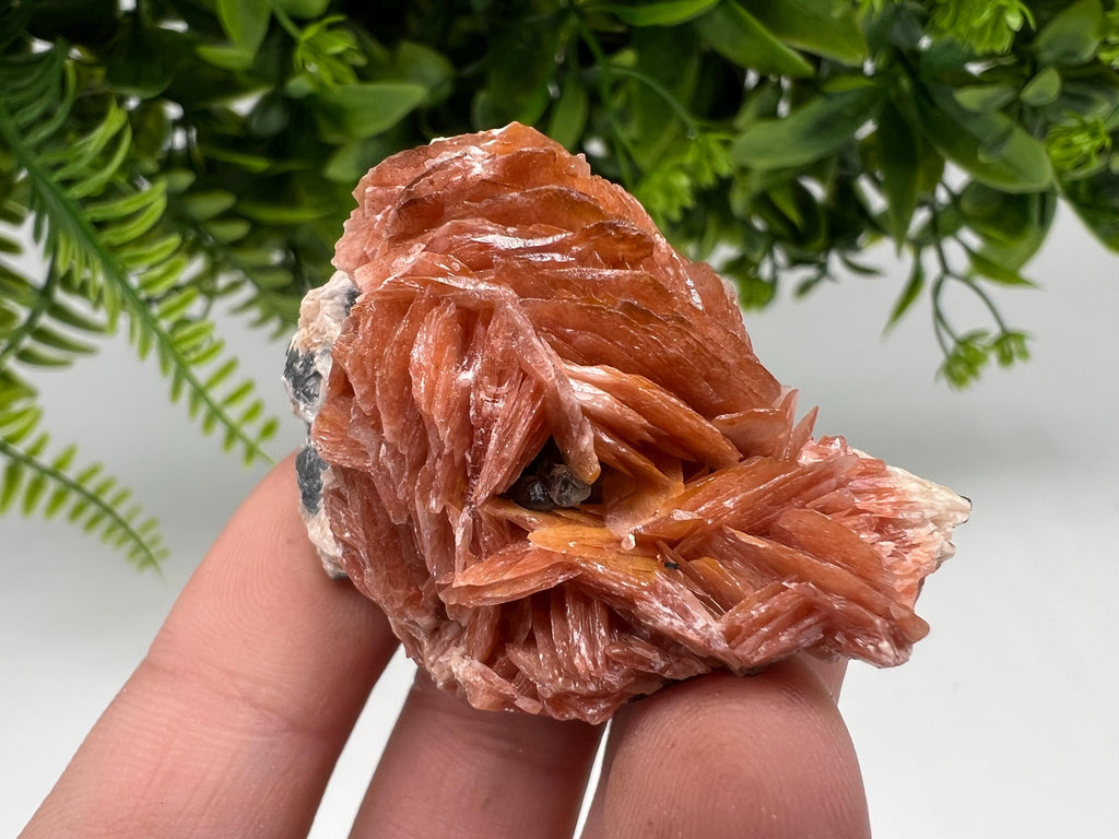 Wonderful Baryte with Cerussite on Galena from Morocco,Crystal, Mineral,Specimen,Cluster,Crystals,Barite Crystal,Cerussite Crystal,Specimen
