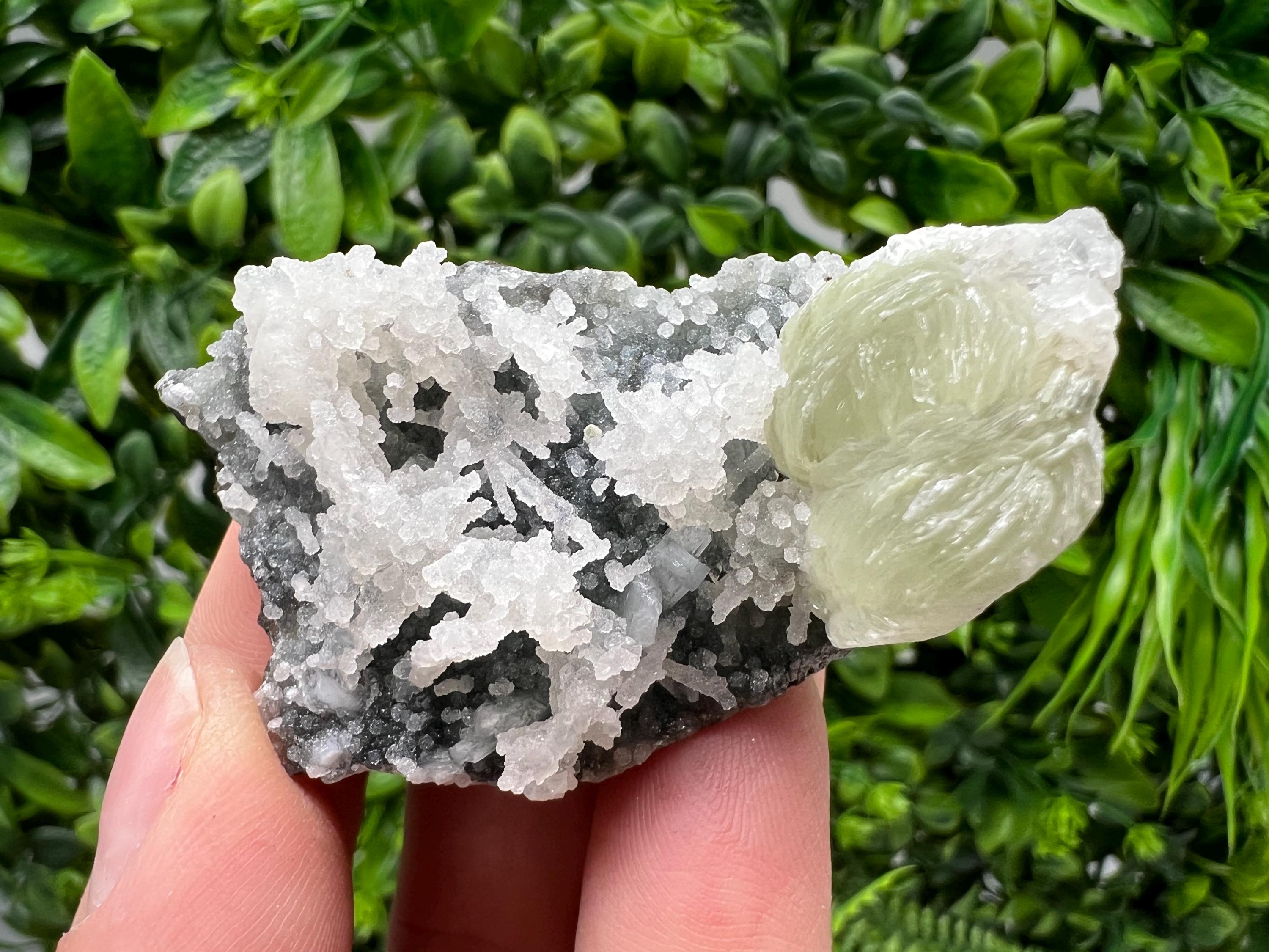 STUNNING Transparent Apophyllite on Chalcedony,natural, collection minerals specimen,India Minerals,Crystal, Stone Mineral Specimens India