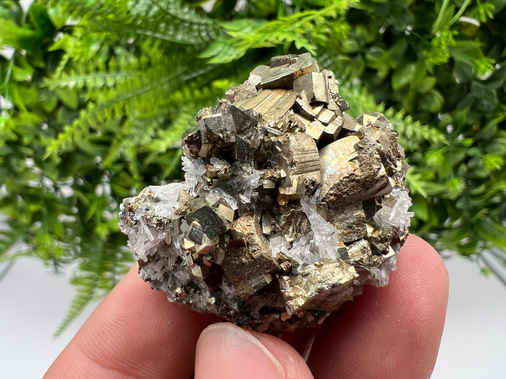 Rainbow Pyrite on Quartz, Natural Crystal Mineral Specimen, Borieva Bulgaria