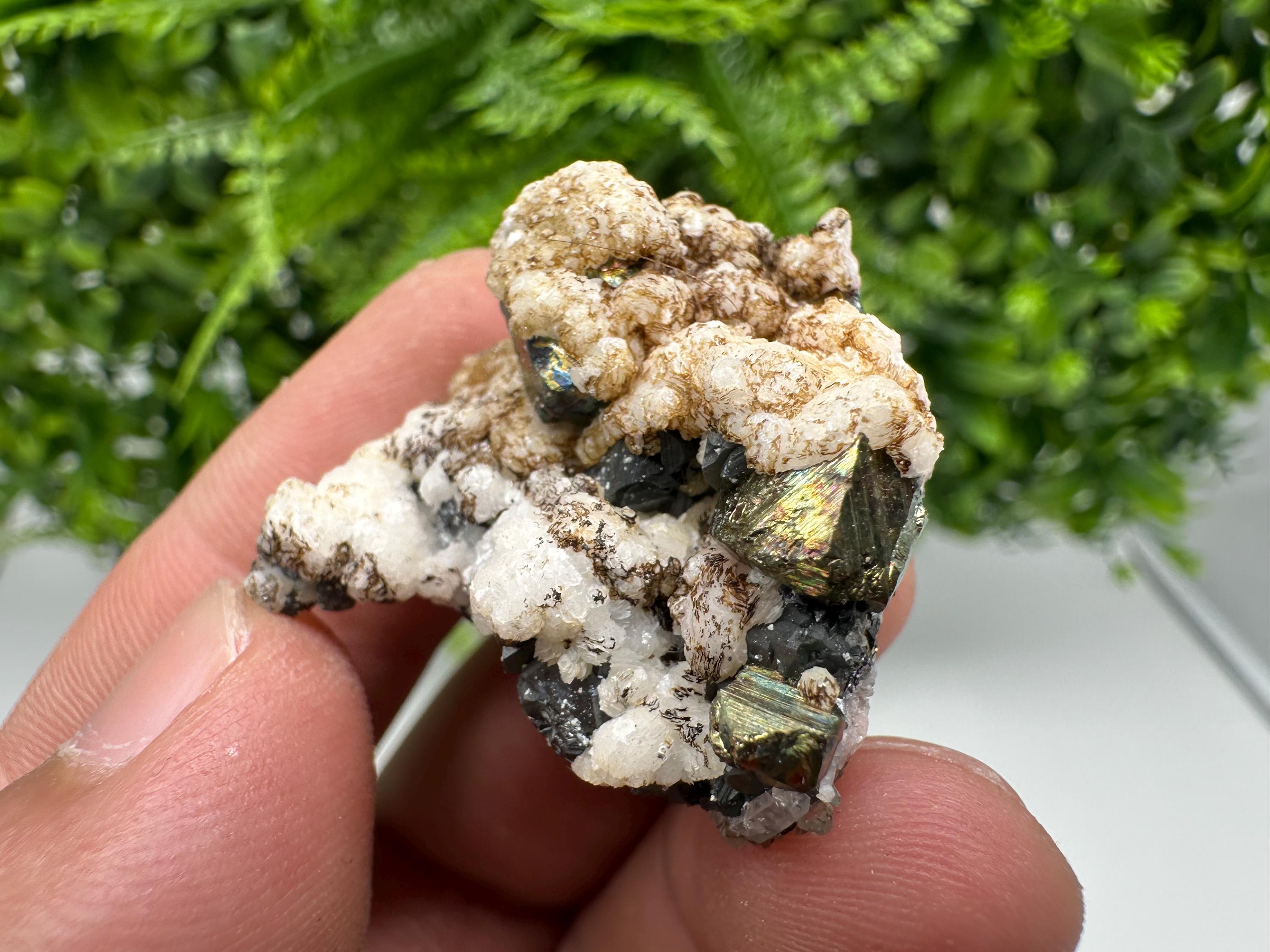Calcite on Spinel Galena, Krushev dol Mine, Bulgaria