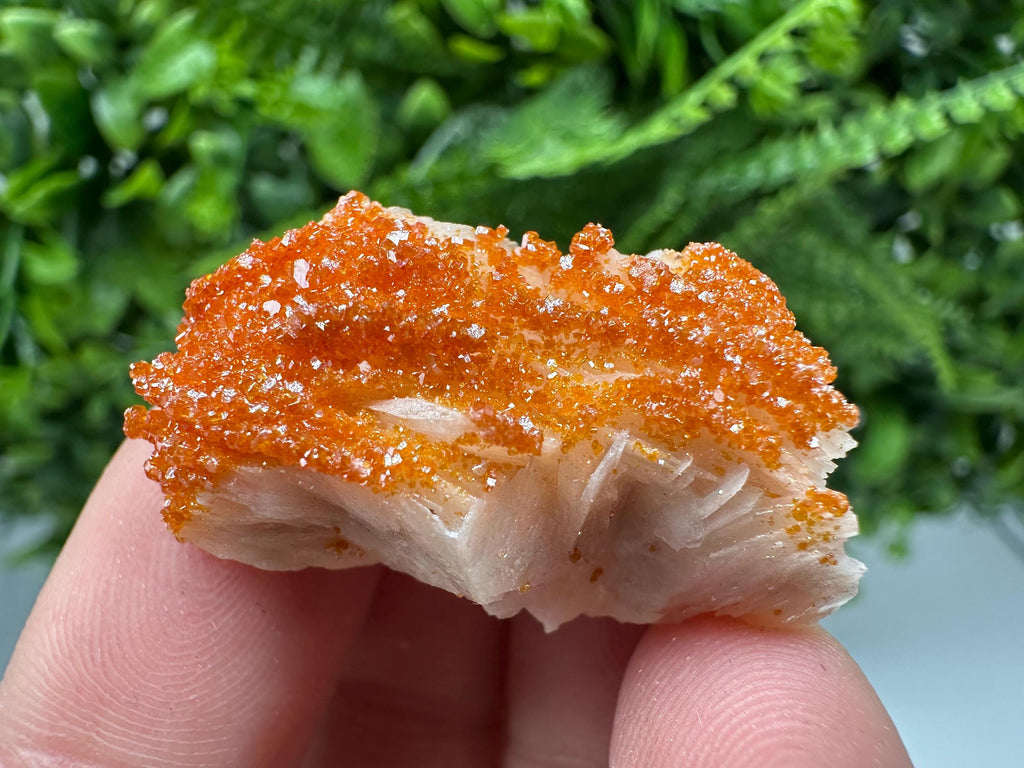 Red Vanadinite on Barite Cluster, Moroccan Crystal Specimen