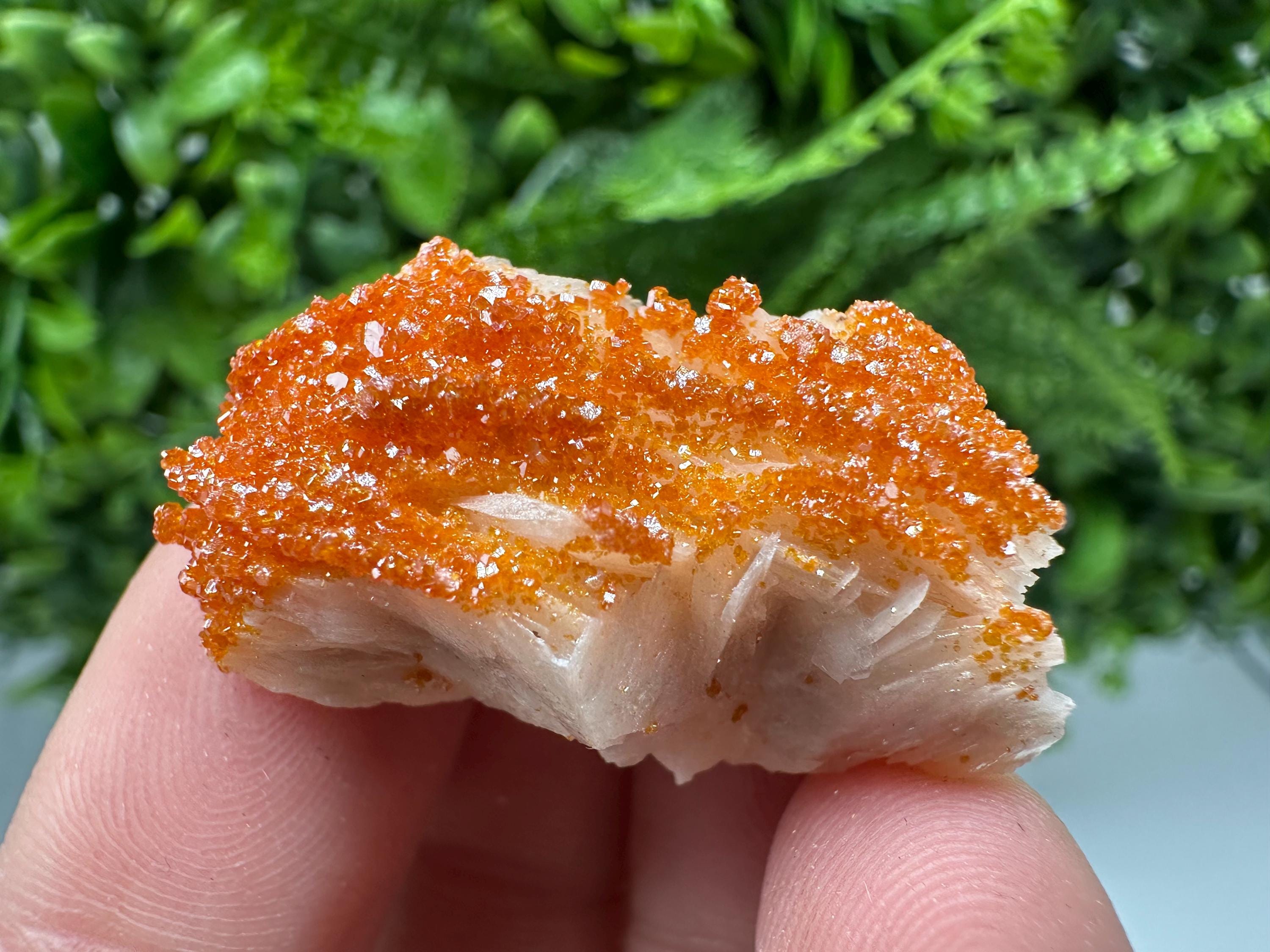 Red Vanadinite on Barite Cluster, Moroccan Crystal Specimen