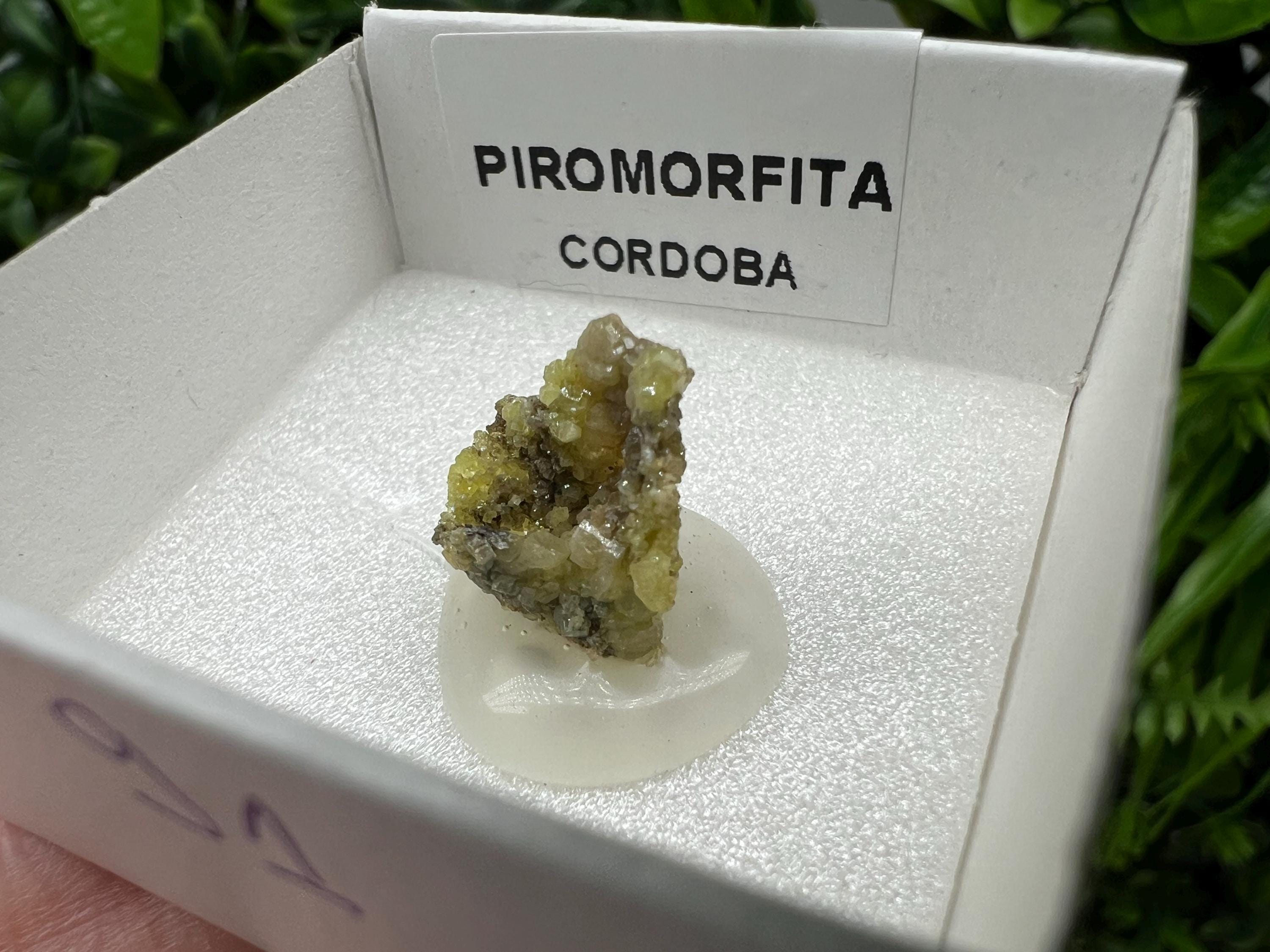 Pyromorphite Stone / Pyromorphite on Matrix / Pyromorphite Crystal / Raw Crystal / Pyromorphite Cluster / Rough Pyromorphite / Pyromorphite