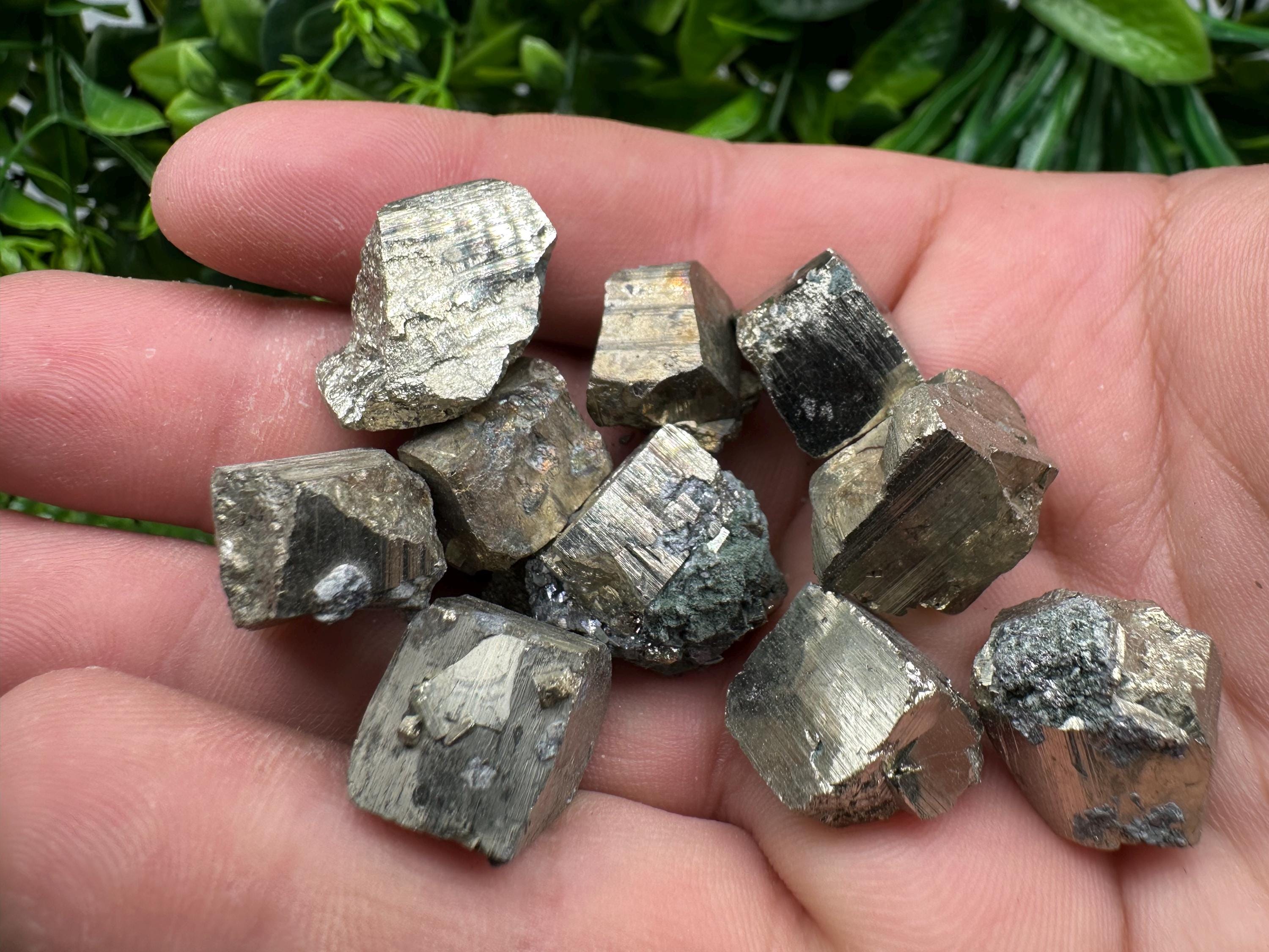 Golden Pyrite Cubes in Box: Collection Stone, Gift, Souvenir