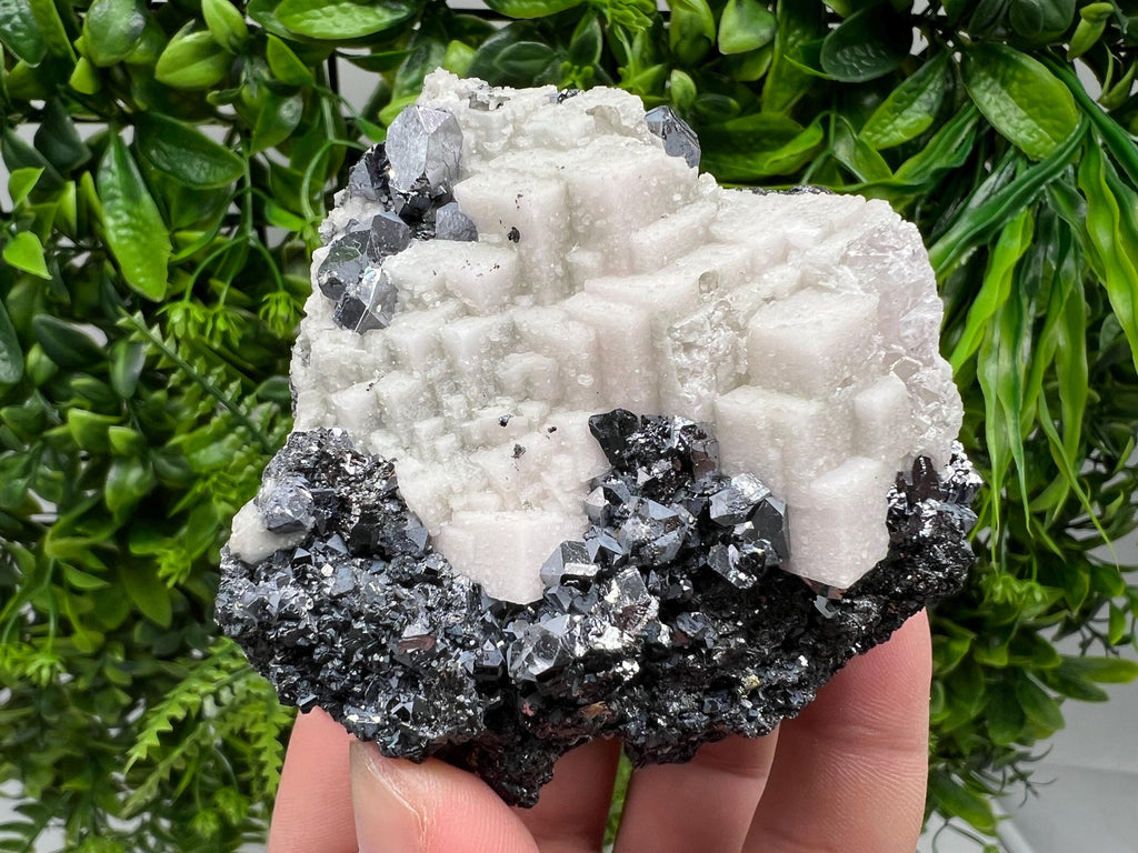 Stunning Shpinel Galena on Sphalerite,Calcite from Borieva mine,Madan,Bulgaria,Natural,collectible mineral specimen,home decor,collectible’s