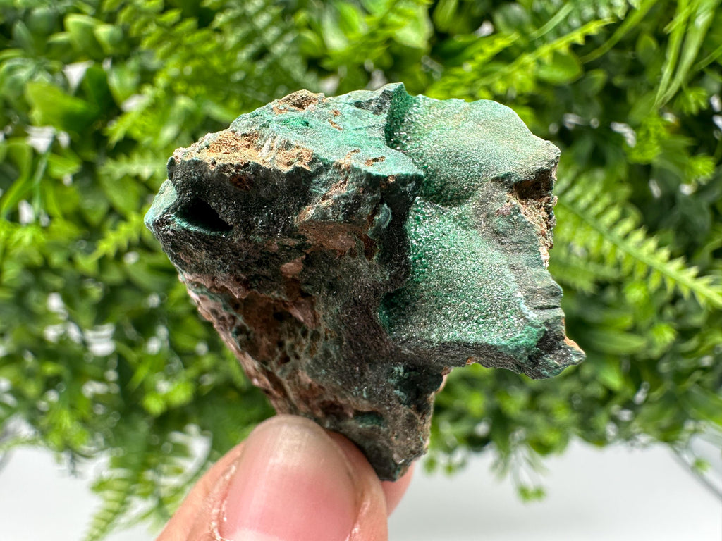 Malachite Crystal from Congo,Minerals,Crystals from Congo,Green Malachite, Malachite,Natural Malachite,Malachite Stone,Chakra, Specimens