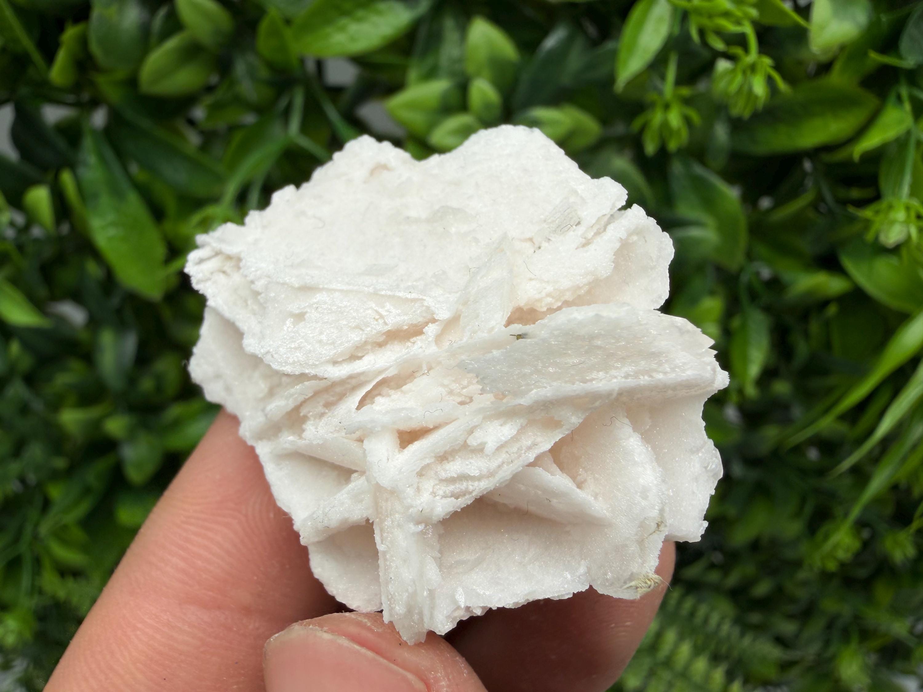 Mangano Calcite with Galena, Borieva Mine, Bulgaria
