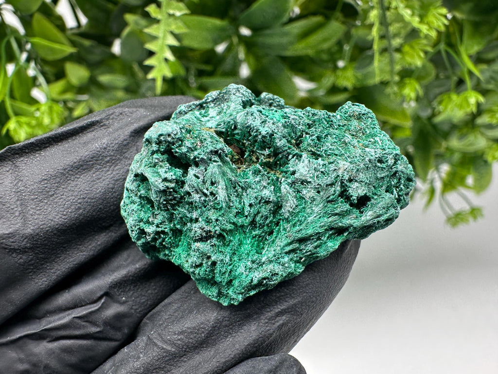 Malachite Crystal from Congo,Minerals,Crystals from Congo,Green Malachite, Malachite,Natural Malachite,Malachite Stone,Chakra, Specimens