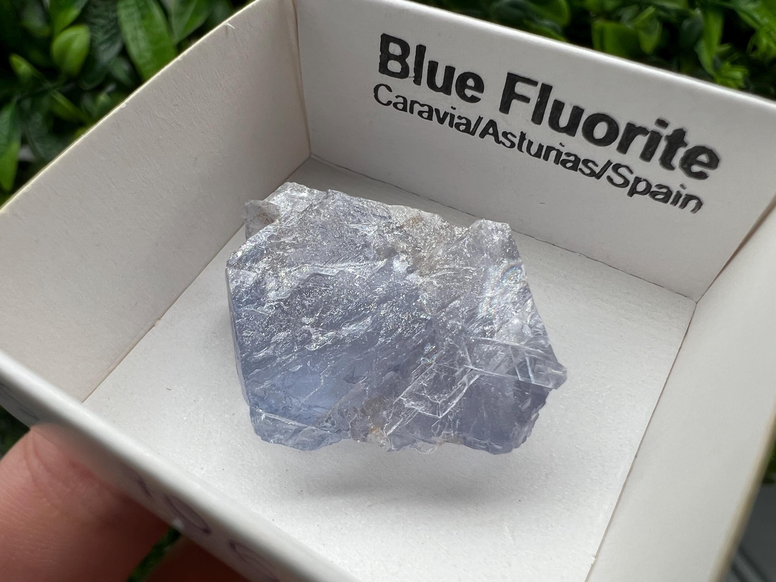 Blue Fluorite Mineral Specimen: Spain Collection (3/2.5 cm