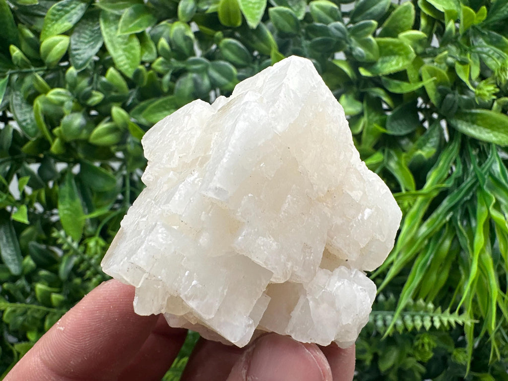 Apophyllite on Chalcedony Specimen, India Minerals