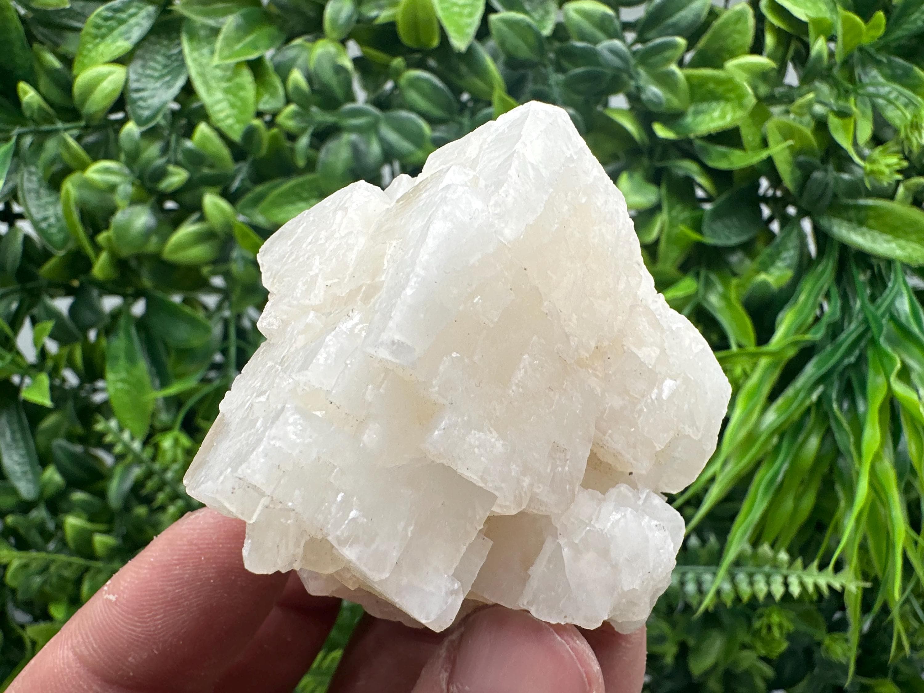 Apophyllite on Chalcedony Specimen, India Minerals
