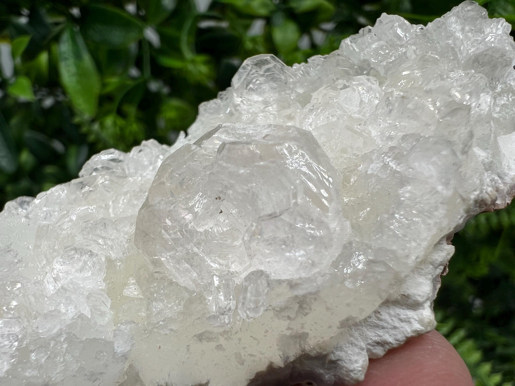 Transparent Apophyllite on Chalcedony, India Minerals Specimen