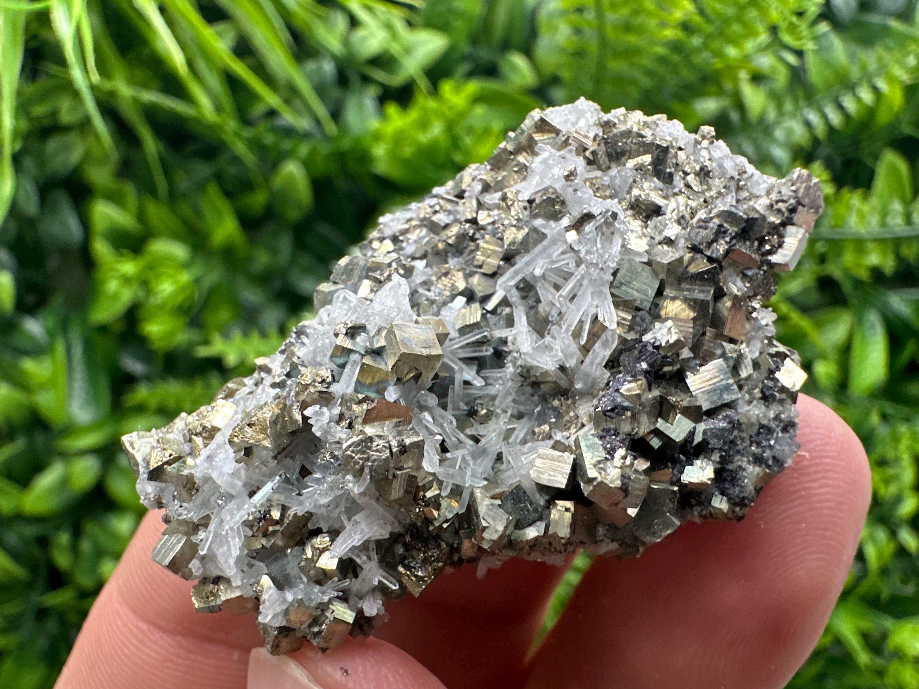 Quartz with Pyrite Specimen: Borieva Mine Crystal Decor (5/3.5 cm)