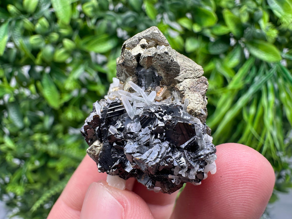 Wonderful Chalcopyrite on Sphalerite from 9 th September mine,Madan,Bulgaria,natural,collection mineral specimen,Home decor stone,Rare cryst