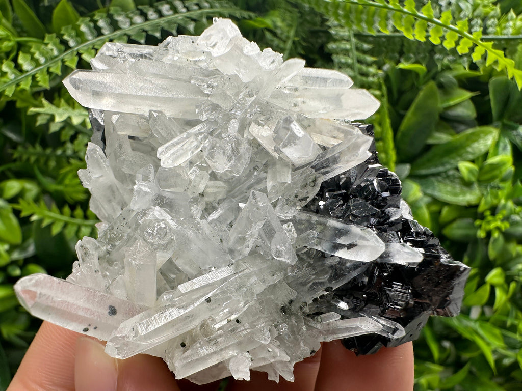 Quartz Cluster with Black Sphalerite, Krushev dol Bulgaria